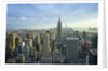 Manhattan skyline with the Empire State Building, New York City by Anonymous