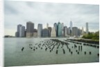 Lower Manhattan skyline, New York City by Anonymous
