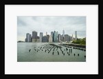 Lower Manhattan skyline, New York City by Anonymous