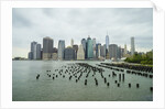 Lower Manhattan skyline, New York City by Anonymous