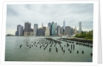 Lower Manhattan skyline, New York City by Anonymous