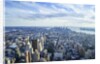 Manhattan skyline from above, New York City by Anonymous