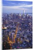Manhattan skyline from above at sunset, New York City by Anonymous