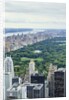 Central Park from above, New York City by Anonymous
