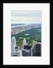 Central Park from above, New York City by Anonymous