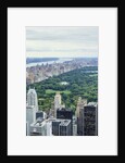 Central Park from above, New York City by Anonymous