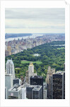 Central Park from above, New York City by Anonymous