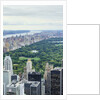 Central Park from above, New York City by Anonymous
