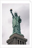 Statue of Liberty, New York City by Anonymous