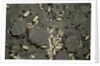 Anthill under a stone by Anonymous