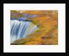 Trees reflect in cascade above Bond Falls on the Middle Fork of the Ontonagon river near Paulding in by Anonymous