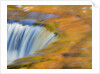 Trees reflect in cascade above Bond Falls on the Middle Fork of the Ontonagon river near Paulding in by Anonymous