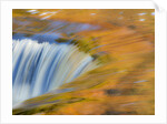 Trees reflect in cascade above Bond Falls on the Middle Fork of the Ontonagon river near Paulding in by Anonymous