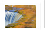 Trees reflect in cascade above Bond Falls on the Middle Fork of the Ontonagon river near Paulding in by Anonymous