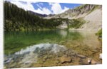 On the Trail to the American Lake. by Anonymous