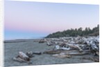 Kalaloch Beach Dawn by Anonymous