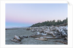 Kalaloch Beach Dawn by Anonymous