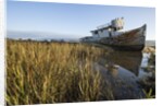 Point Reyes Shipwreck, Inverness, California by Anonymous