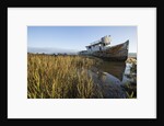Point Reyes Shipwreck, Inverness, California by Anonymous