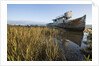 Point Reyes Shipwreck, Inverness, California by Anonymous