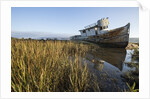 Point Reyes Shipwreck, Inverness, California by Anonymous