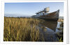 Point Reyes Shipwreck, Inverness, California by Anonymous