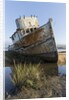 Point Reyes Shipwreck, Inverness, California by Anonymous