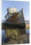 Point Reyes Shipwreck, Inverness, California by Anonymous