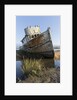 Point Reyes Shipwreck, Inverness, California by Anonymous