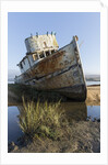 Point Reyes Shipwreck, Inverness, California by Anonymous