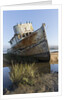 Point Reyes Shipwreck, Inverness, California by Anonymous
