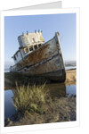 Point Reyes Shipwreck, Inverness, California by Anonymous