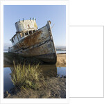 Point Reyes Shipwreck, Inverness, California by Anonymous