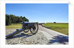 Fort Macon by Anonymous