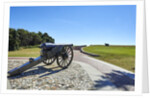 Fort Macon by Anonymous