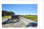 Fort Macon by Anonymous