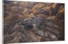 The desert near the Dead Sea. by Anonymous