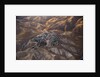 The desert near the Dead Sea. by Anonymous