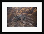 The desert near the Dead Sea. by Anonymous