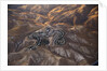 The desert near the Dead Sea. by Anonymous