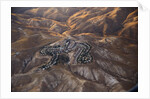 The desert near the Dead Sea. by Anonymous