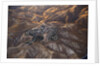 The desert near the Dead Sea. by Anonymous