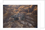 The desert near the Dead Sea. by Anonymous