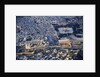 Air View of the old city. by Anonymous