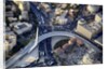 Air View of the Calatrava bridge. by Anonymous