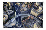 Air View of the Calatrava bridge. by Anonymous