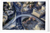 Air View of the Calatrava bridge. by Anonymous