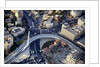 Air View of the Calatrava bridge. by Anonymous
