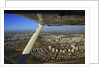 Landscape from above between Tel Aviv and Jerusalem. by Anonymous