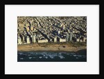 Tel Aviv from Above. by Anonymous